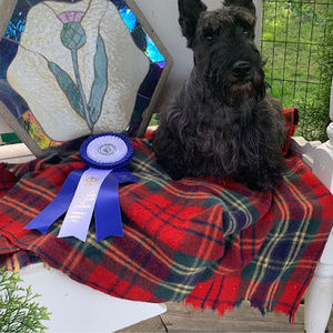 Meet your Posher, William